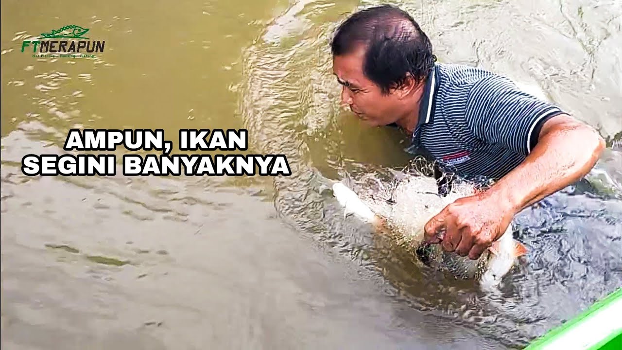 JALA IKAN SAMPE HARUS LOMPAT KE SUNGAI, IKANNYA KEBANYAKAN