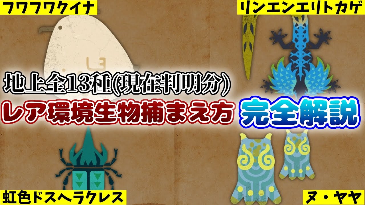 【モンハンワイルズ】地上全13種レア環境生物捕まえ方完全解説！