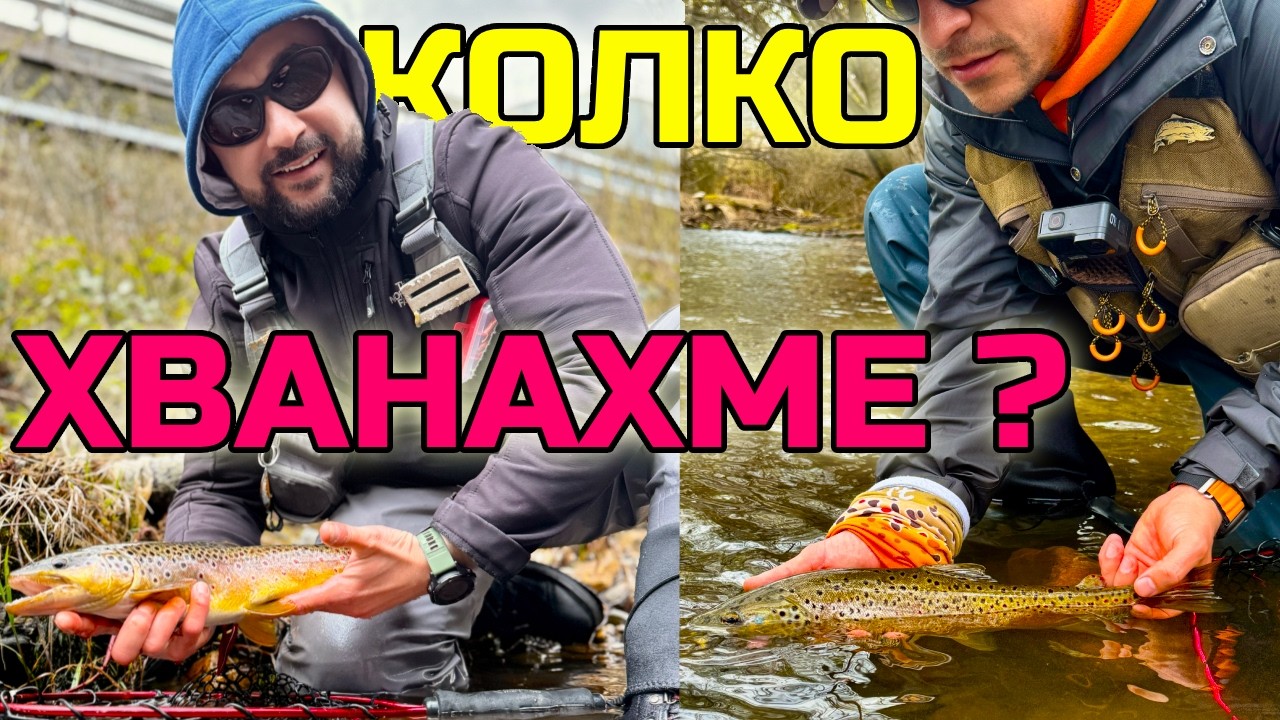 Пъстървите откачиха !!! Риболов на балканска пъстърва на балканска река. #catchandrelease