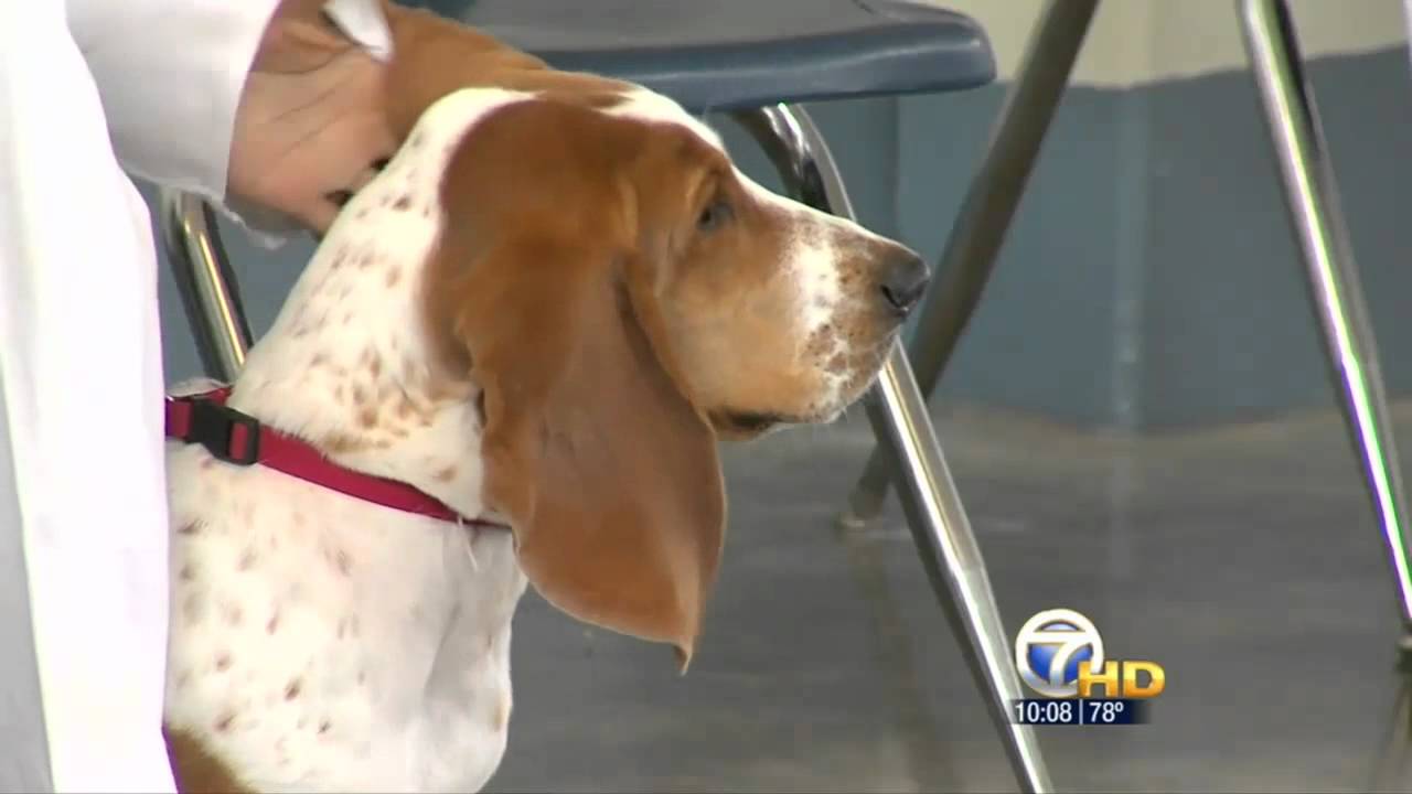 KATV: Paws In Prison