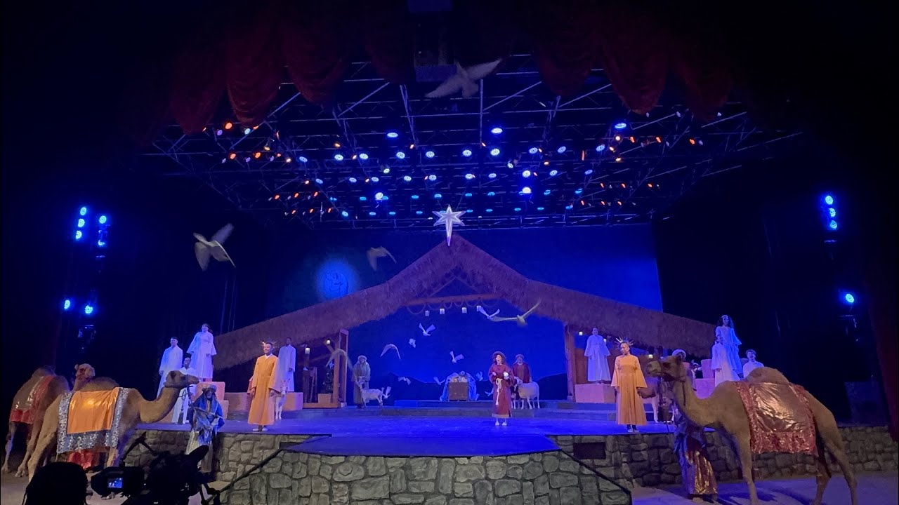 SWSA - O’Wondrous Night 2025 (Lost Recording)