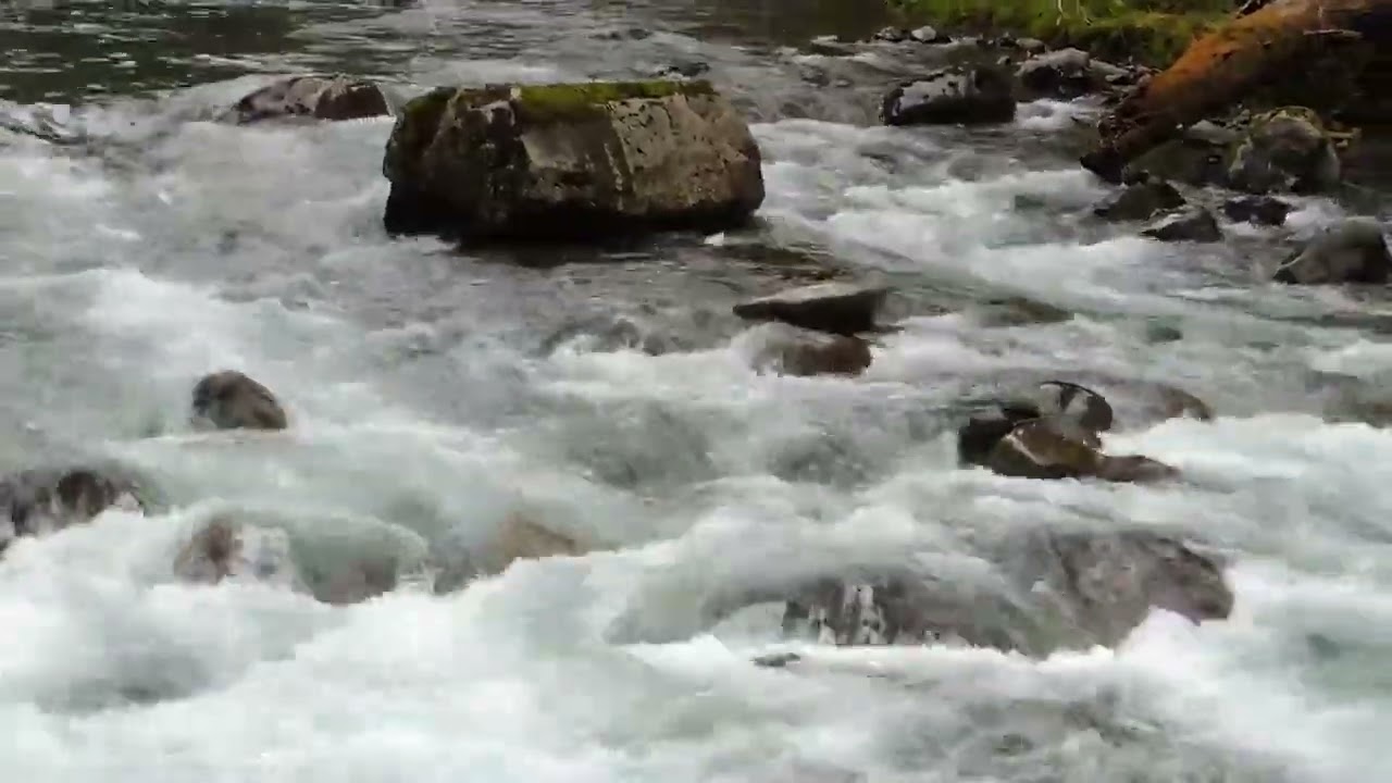 3 Environmental Poems Read by the Author, Mark Hamilton