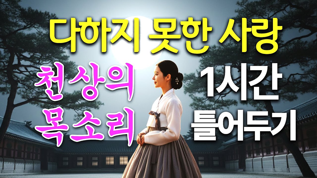1시간 | 다하지 못한 사랑 | 끝내 지우지 못한 사랑 #트로트발라드 #7080 #짝사랑