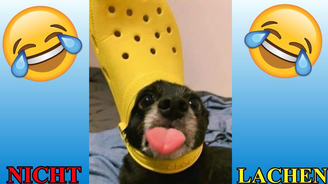 VERSUCHE NICHT ZU LACHEN !!! 🤣🤣🤣 #69