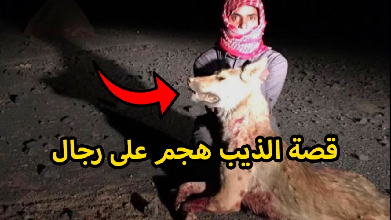 قصه رجال هجمت عليه مجموعة ذئاب وحاولت قتله!!🐺😰