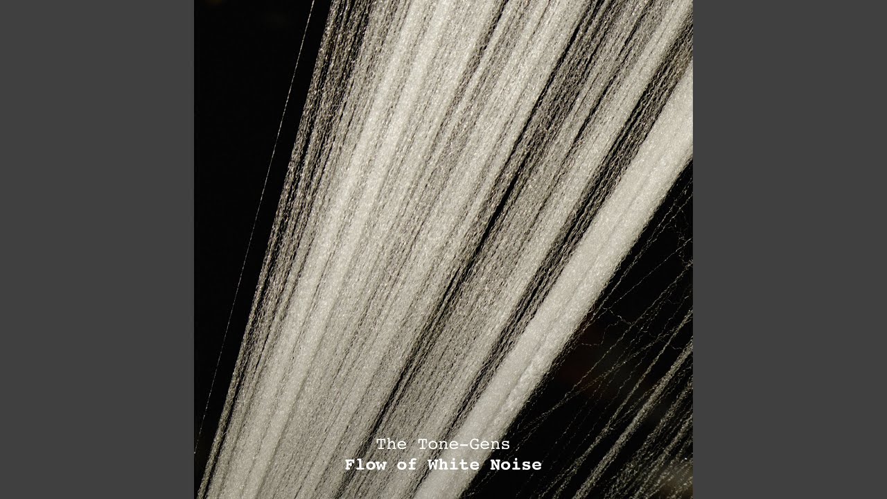 Flow of White Noise