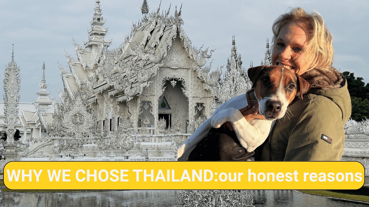 Our move with Babe. From the Netherlands to Thailand.