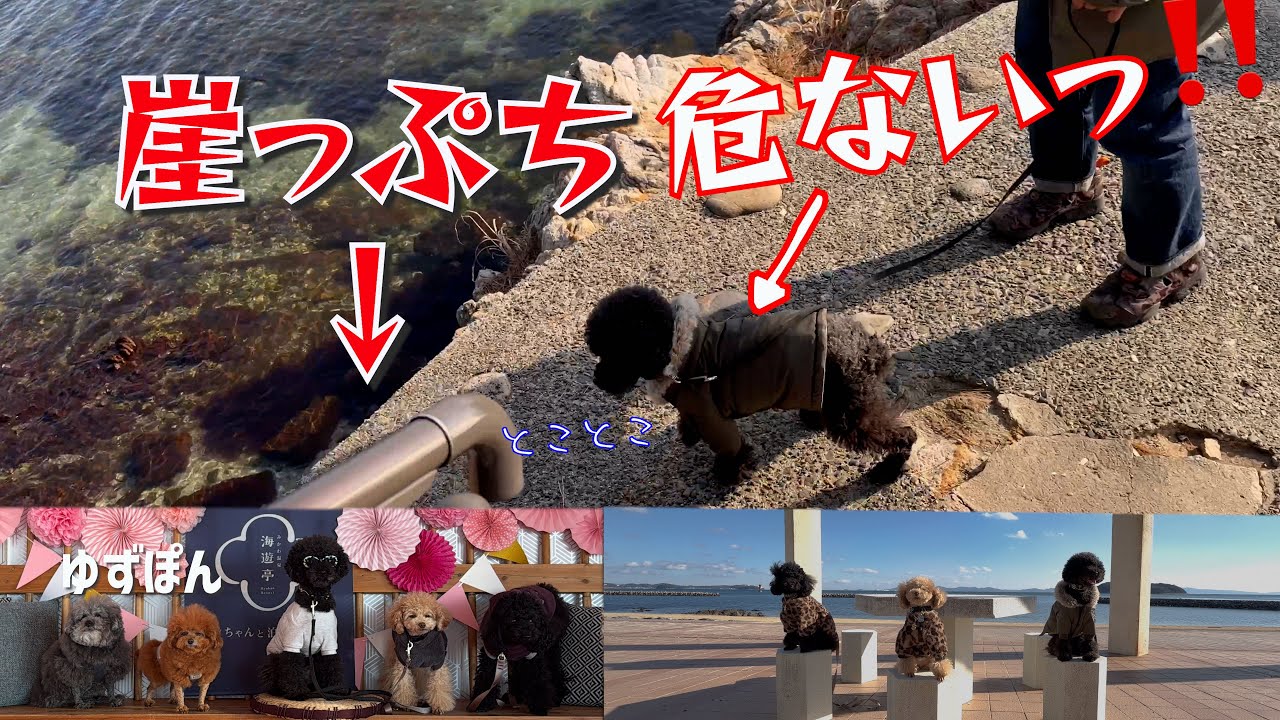 崖っぷちの散歩は怖かったけど最高に楽しい旅でした！