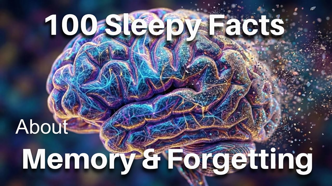 The Most Relaxing Facts About Memory & Forgetting