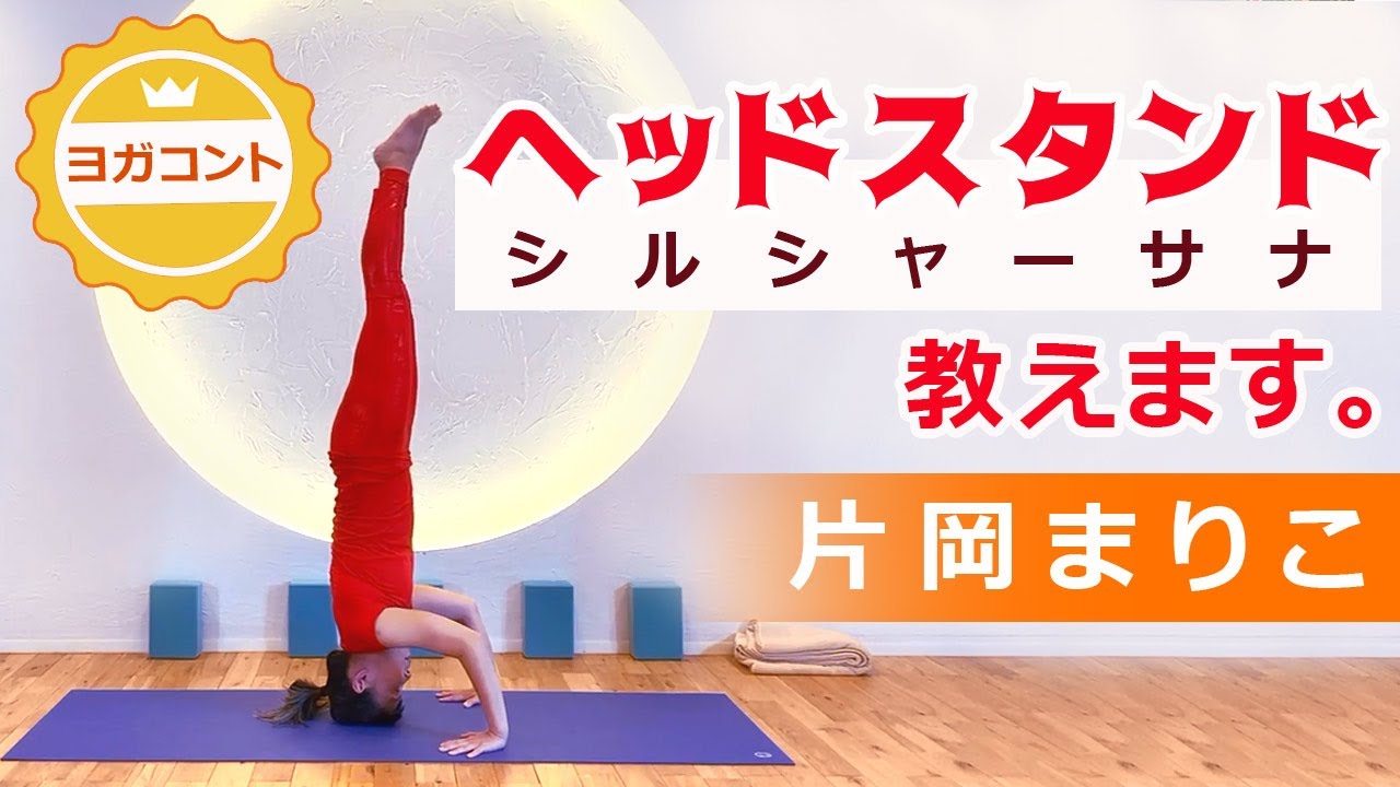 業界初！【 美しくなるヨガコント !?｜きっちりアーサナするよシリーズ！シルシャーサナ編 】 講師：片岡まりこ