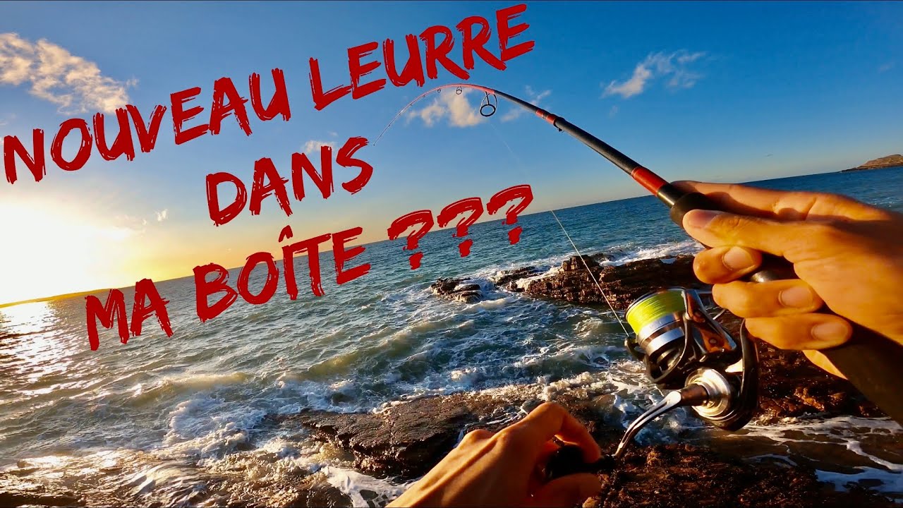 Un NOUVEAU LEURRE dans ma BOÎTE !??