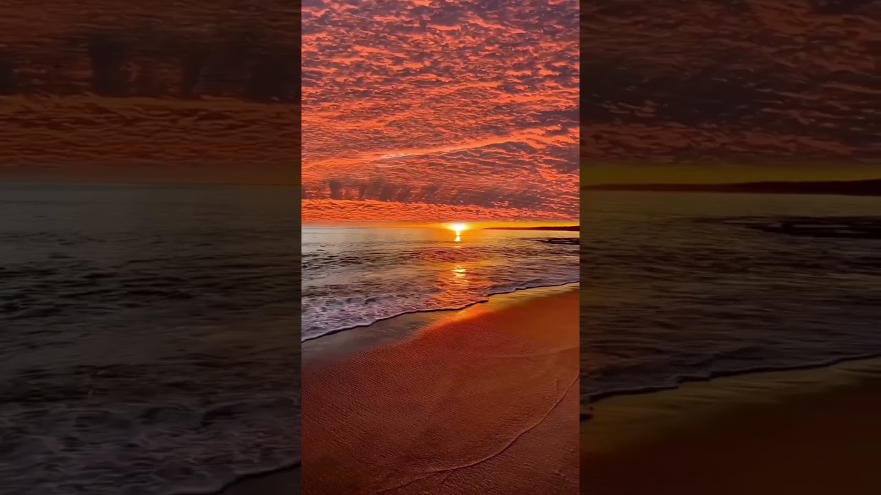 I wanna ride. By Trinia #fypage  #music  #song  #songlyrics  #originalsong 