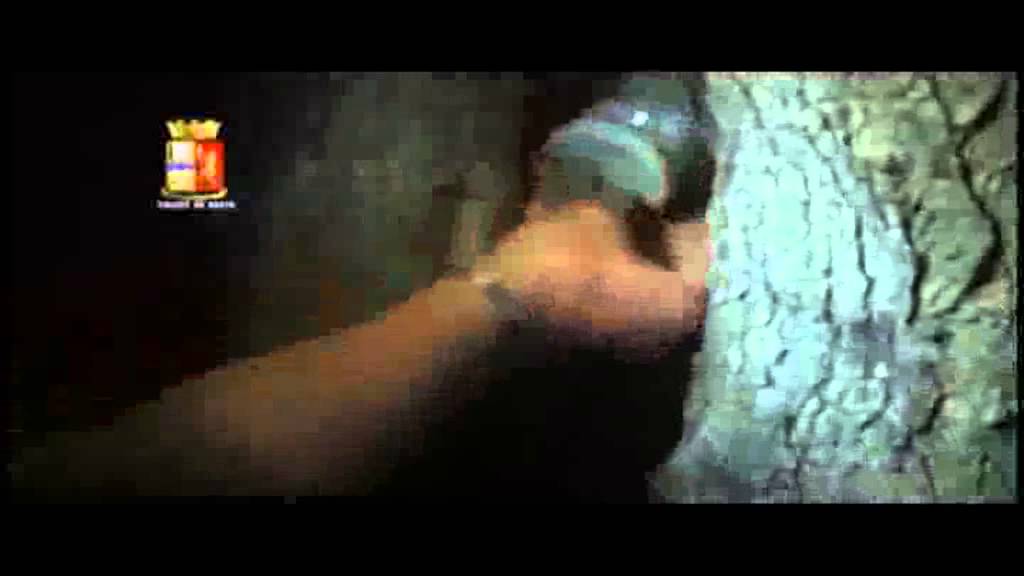 Operazione Old Family, colpo alla 'Ndrangheta crotonese