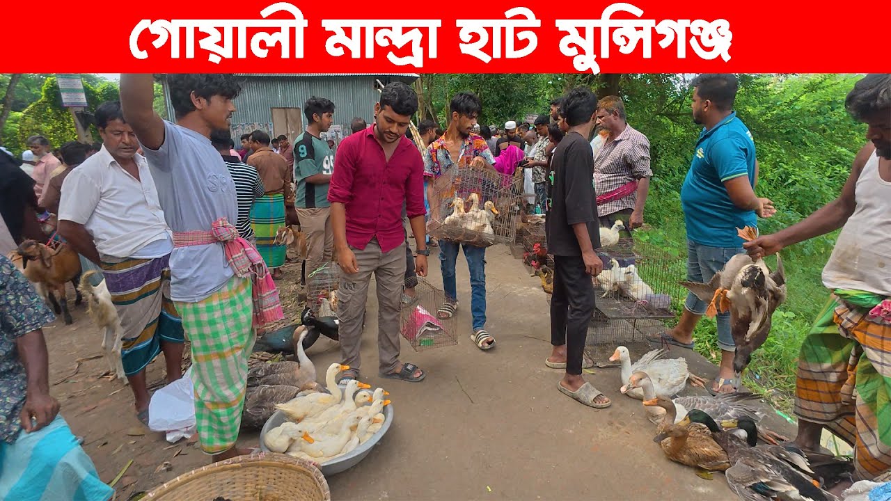 গোয়ালী মান্দ্রা হাট মুন্সিগঞ্জ | Village market | Traditional village market in bd | Goalimandra hat