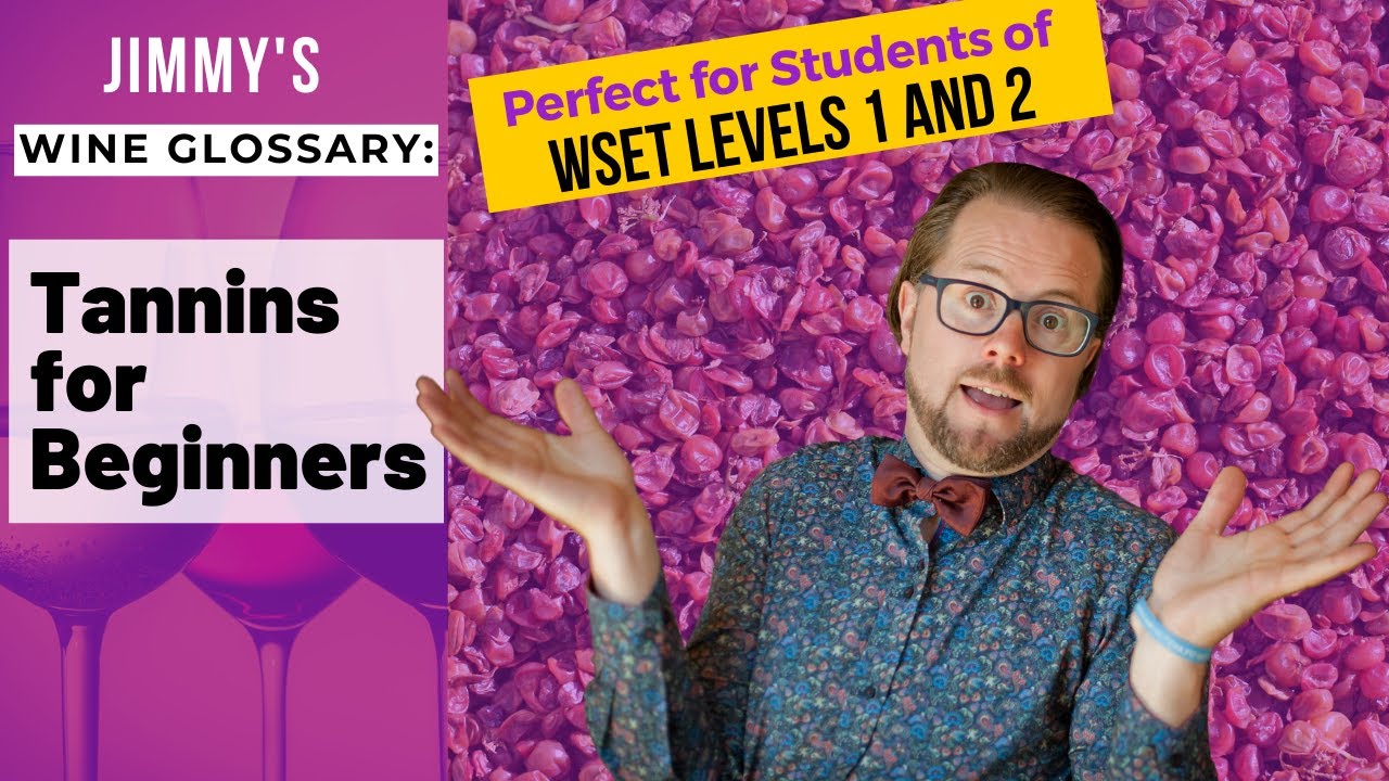 Explaining Wine Terminology Tannins for Beginners