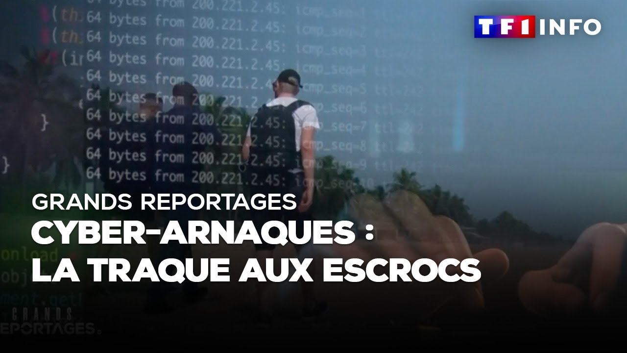 Cyber-arnaques : la traque aux escrocs