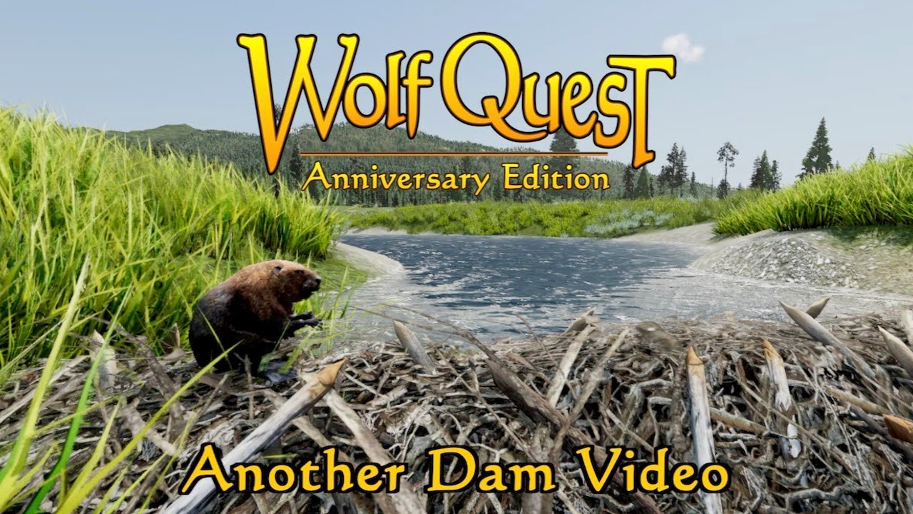 Another Dam Video