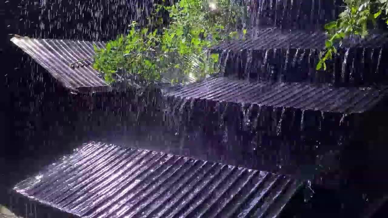 Night Thunderstorm Ambience 🌙 Heavy Rain on Metal Roof