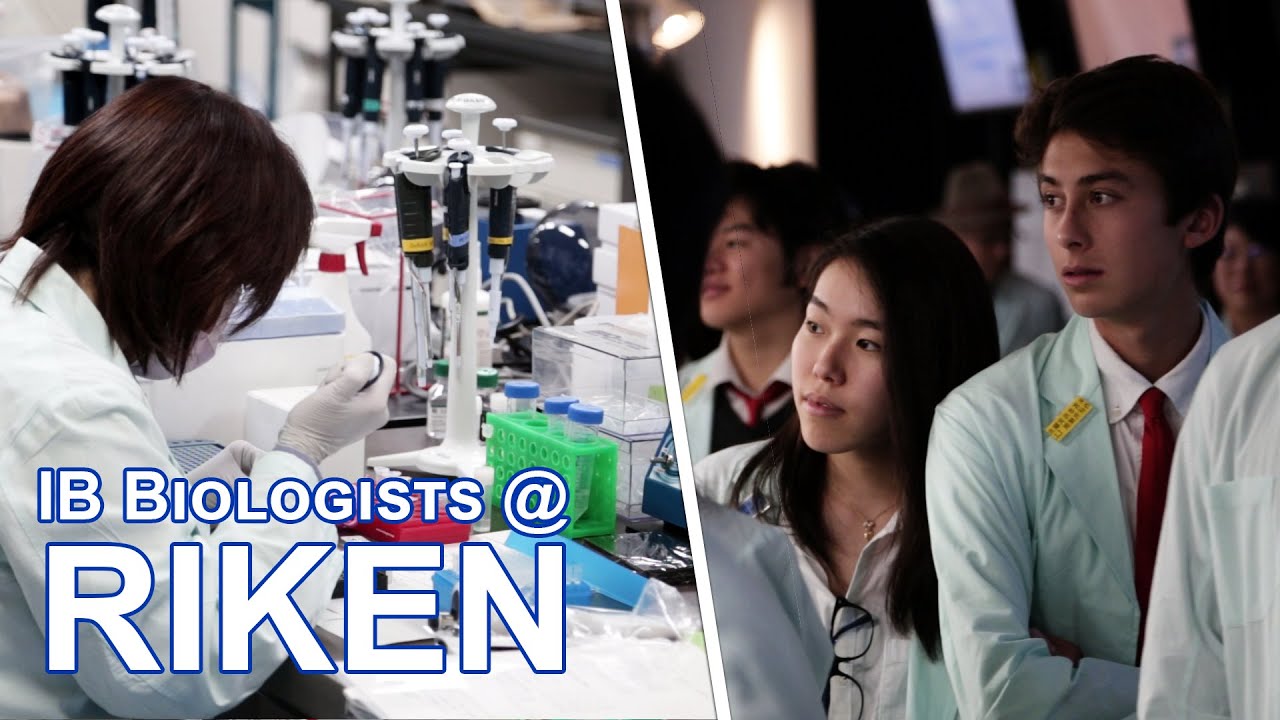 Grade 11 IB Biologists visit RIKEN Yokohama Campus