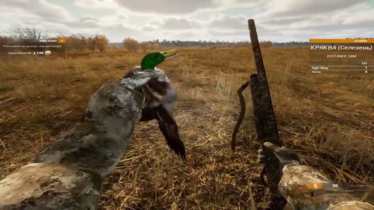 BULT  HUNTING SIMULATOR  Ördek Avı
