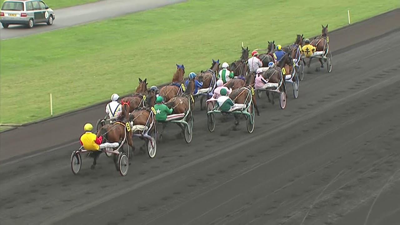 PRIX DE PARIS 2011 - Maharajah