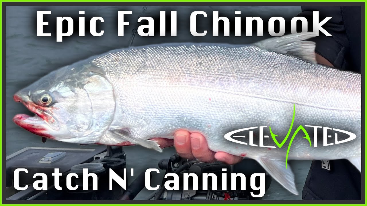 Insane Fall Salmon Fishing (Catch N' Canning) | Oregon Chinook Coho | 2024 Ep. 02