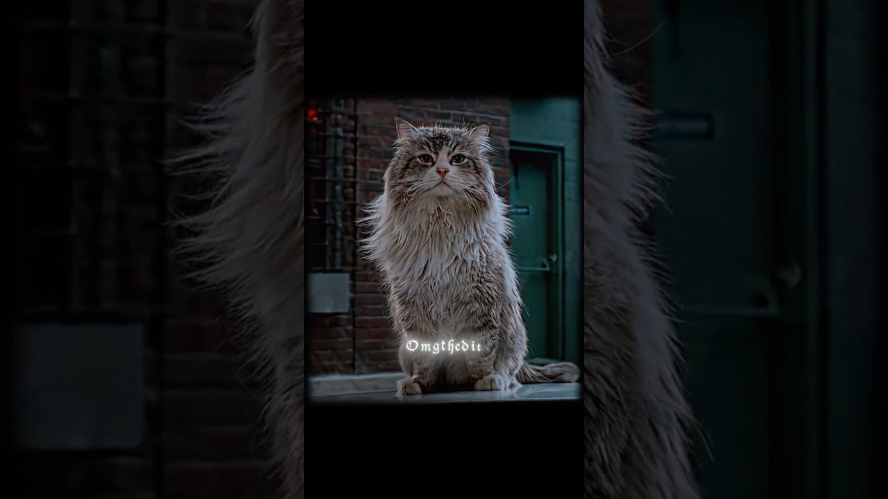 This Scene Will Make You Cry - Nine Lives | Emin Ft. Jony - Каmin (Slowed) (Tiktok Remix) |Omgthedit