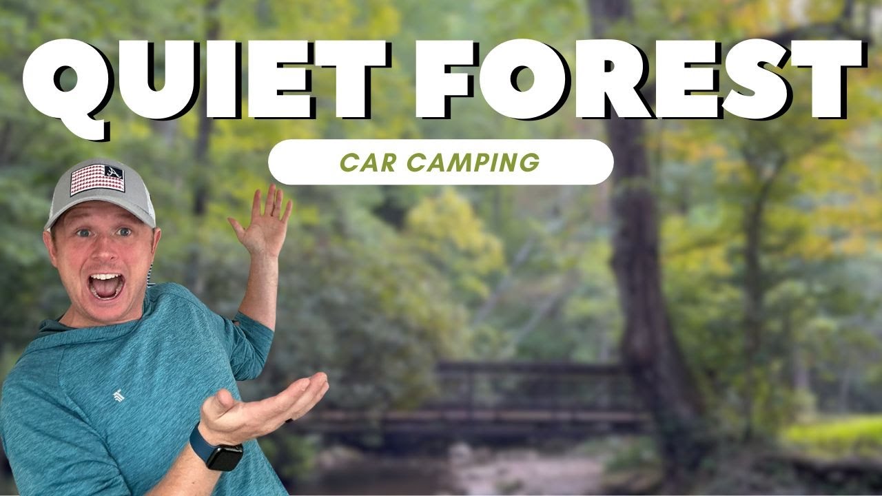 SOLO CAR CAMPING in the Mountains of the National Forest!