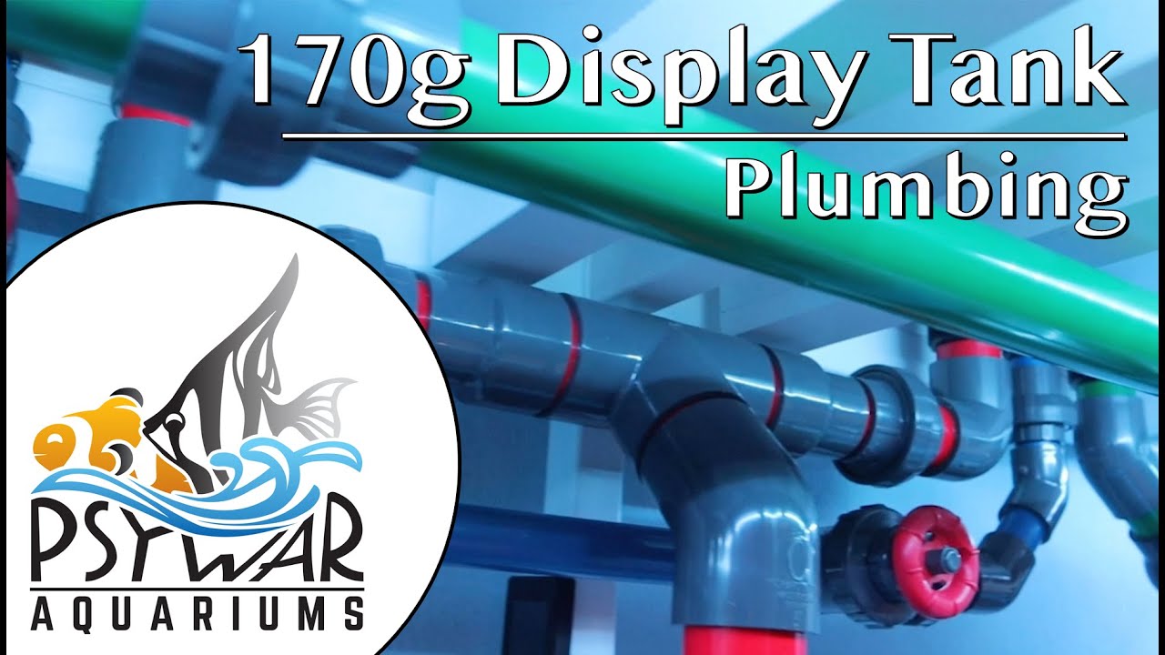 170g Display Tank: Plumbing and Life Support