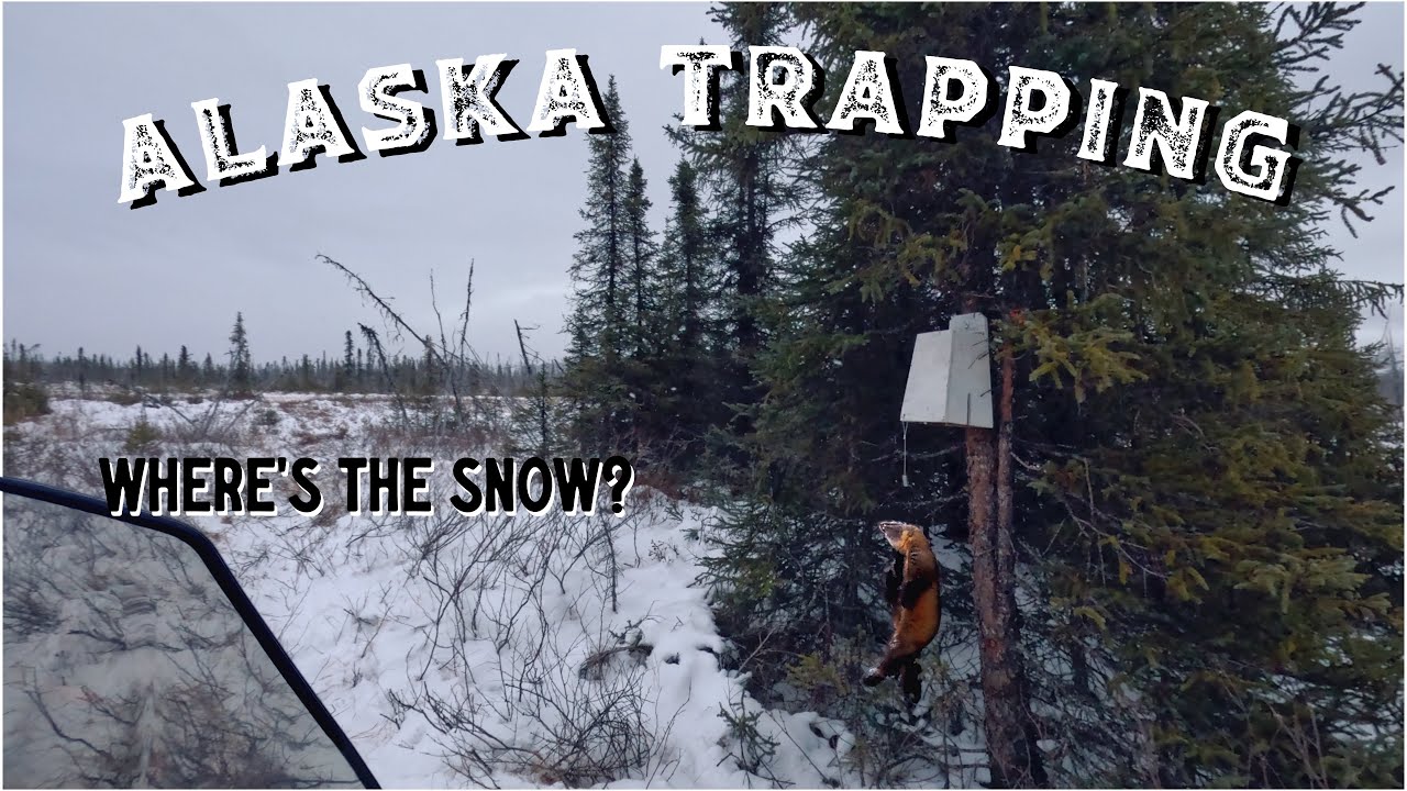 Alaska Trapline Adventures