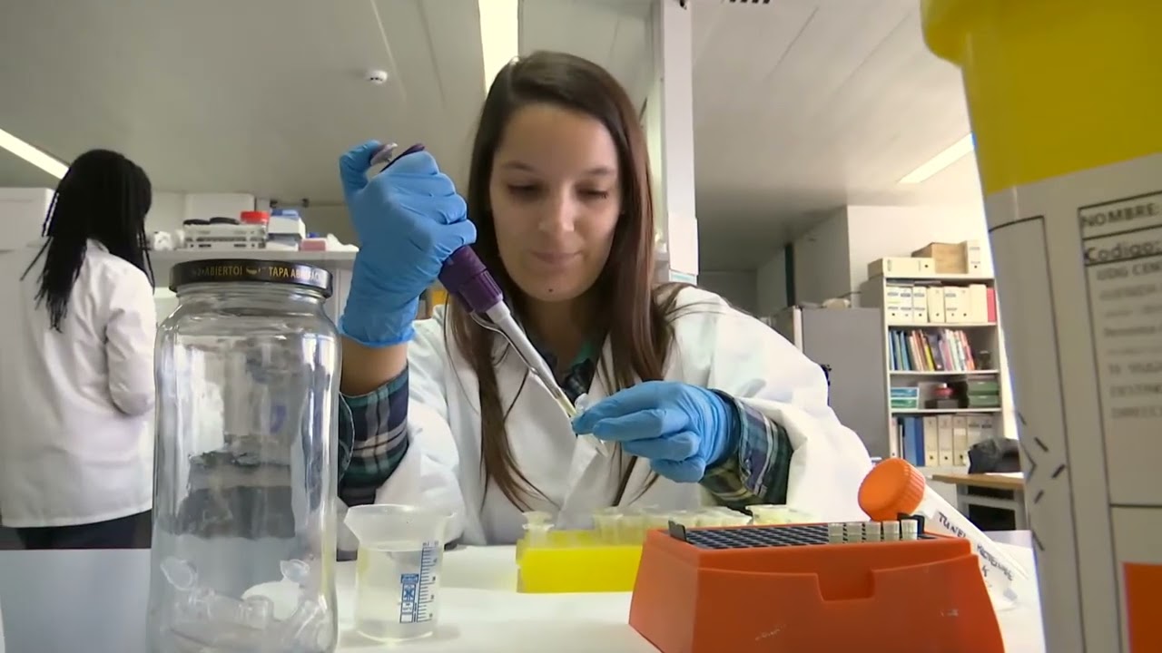 Nuevas terapias basadas en bismuto contra bacterias resistentes