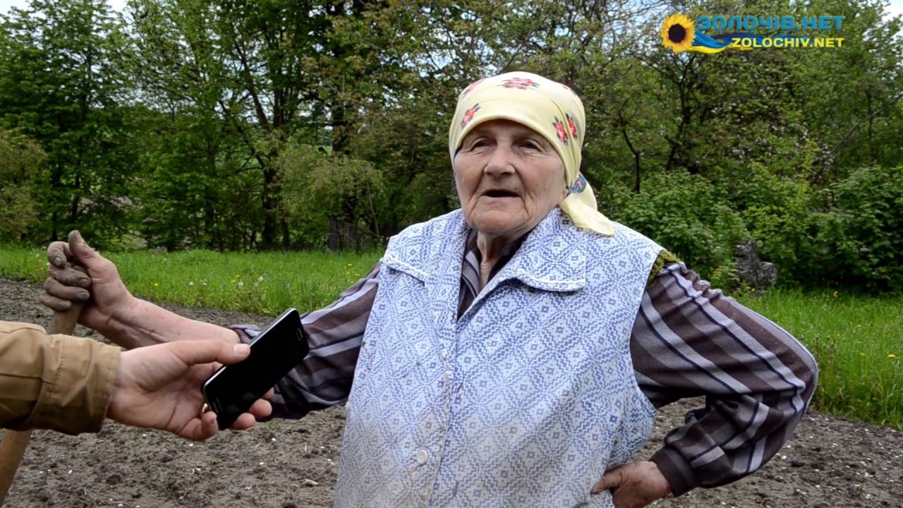 У Золочівському районі знайдено масове поховання вояків часів Другої світової війни