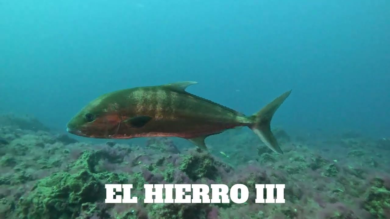 2026 03 02 EL HIERRO III