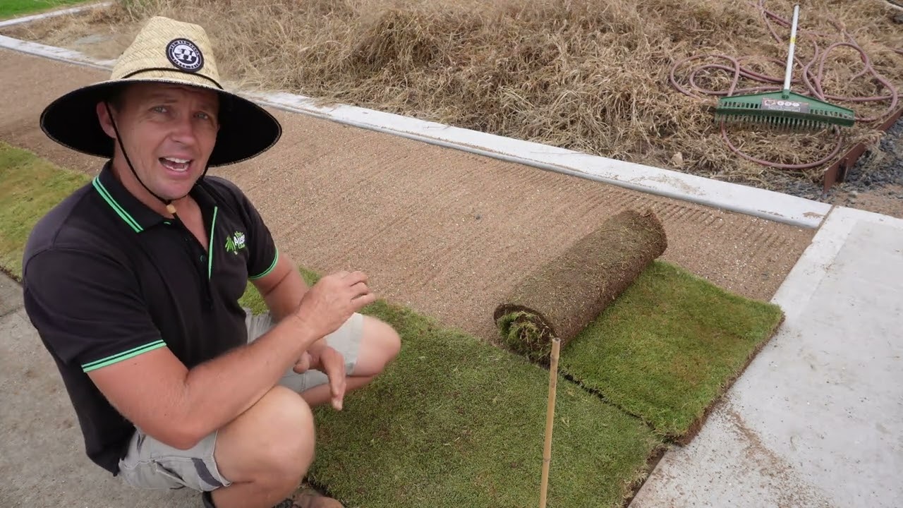 HOW TO LAY A NEW TURF LAWN TIFTUF  HYBRID BERMUDA GRASS (COUCH)