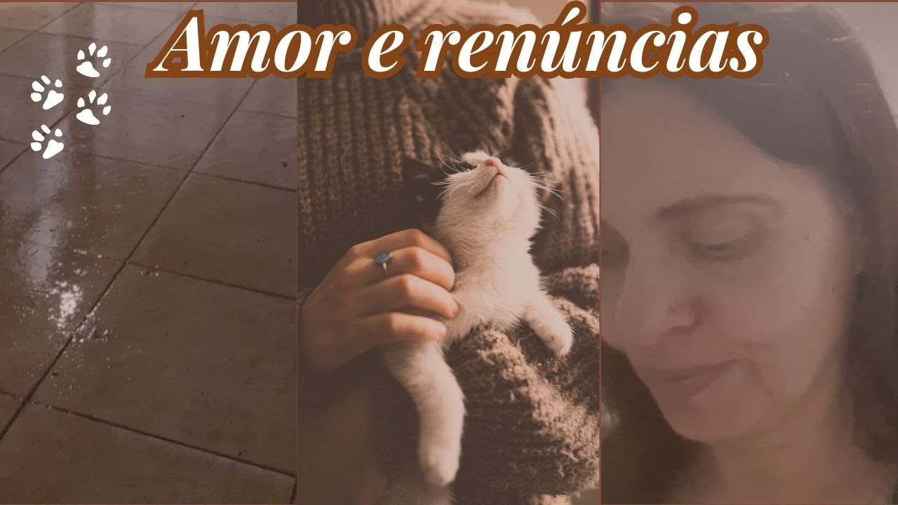 As renúncias que tive que fazer por ter muitos animais