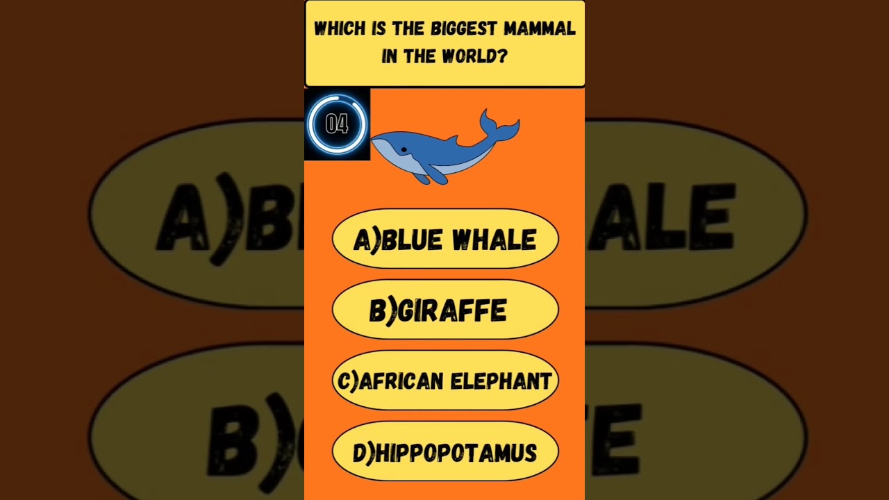 Comment Your Answer❓🤔🧠 #quiztime #generalknowledgequestions