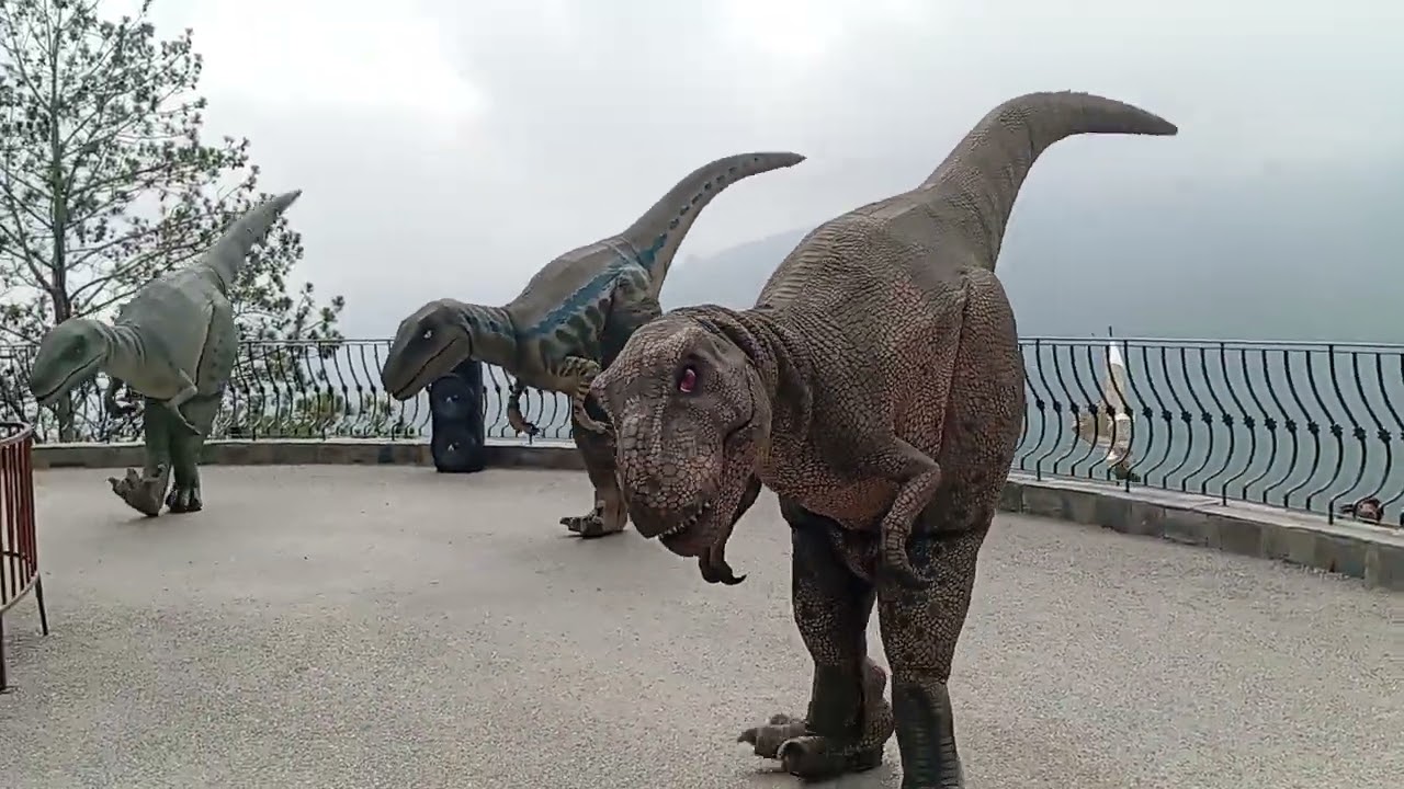 At Dino valley Dino dance 🩰😁#viralvideos #dinovalleyislamabad #dinovalley
