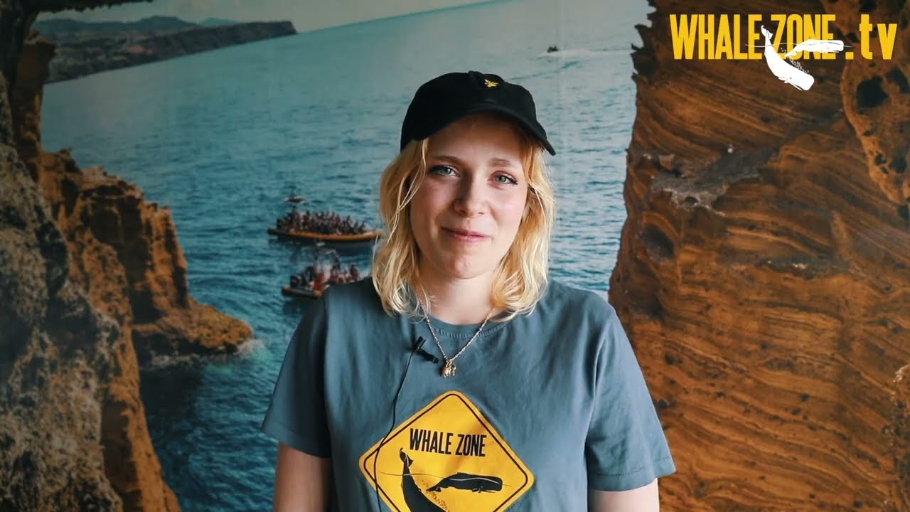 How Emotional Can Whales and Dolphins Get? | WHALEZONE.TV S4E2