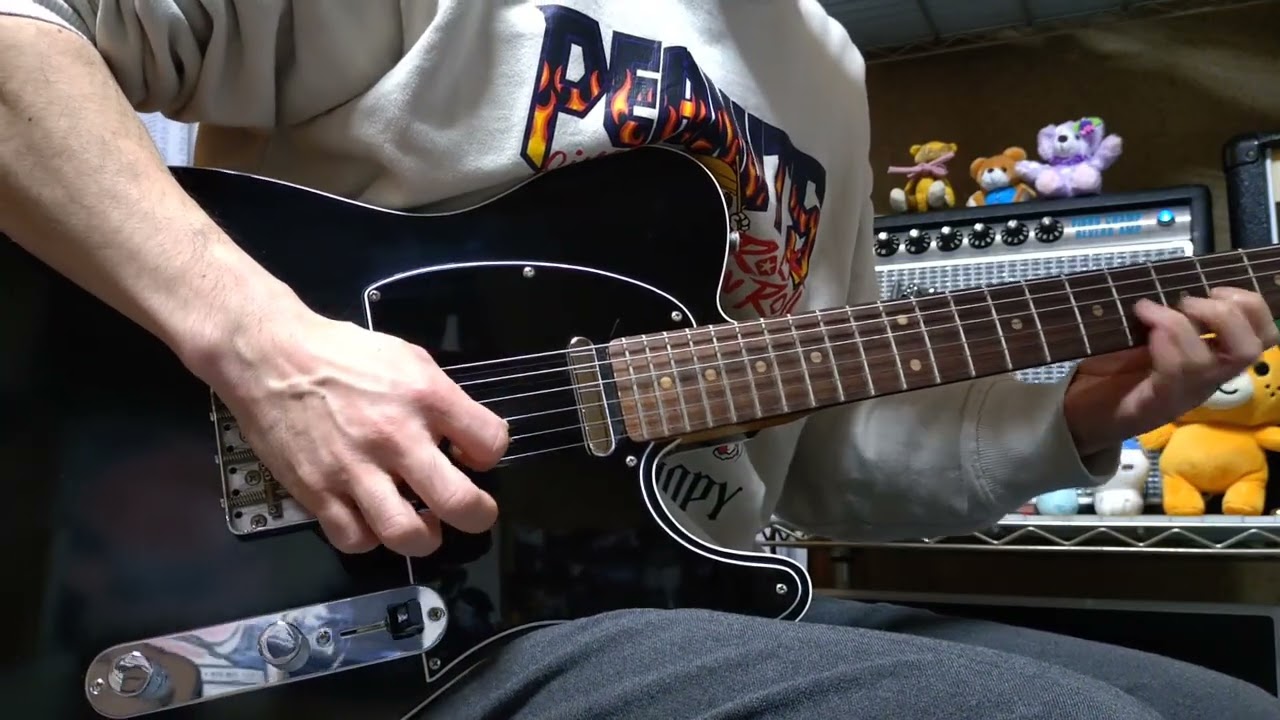 太くてパワーがあるサウンド！vanzandt tlv-r2 guitar and fender 68 custom vibro champ reverb tube amp 使用！