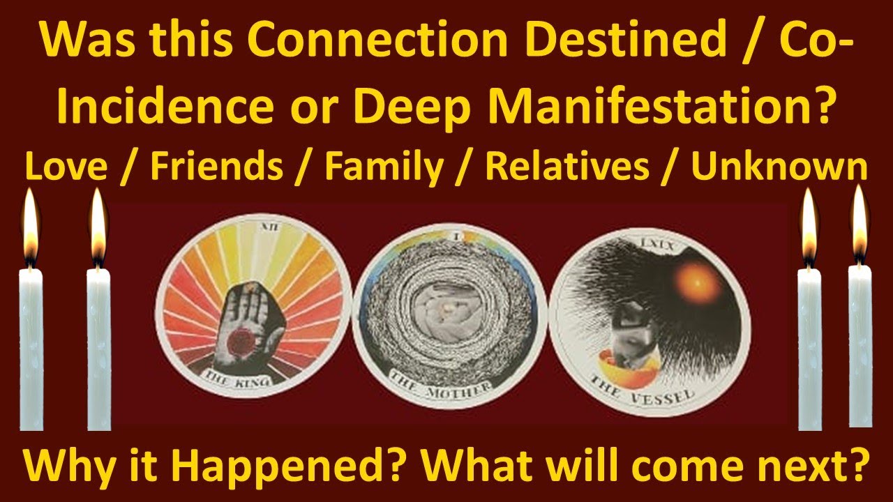 Was this Connection Destined or Co-Incidence? What will Happen Next? Timeless Tarot Reading 🌞🌞