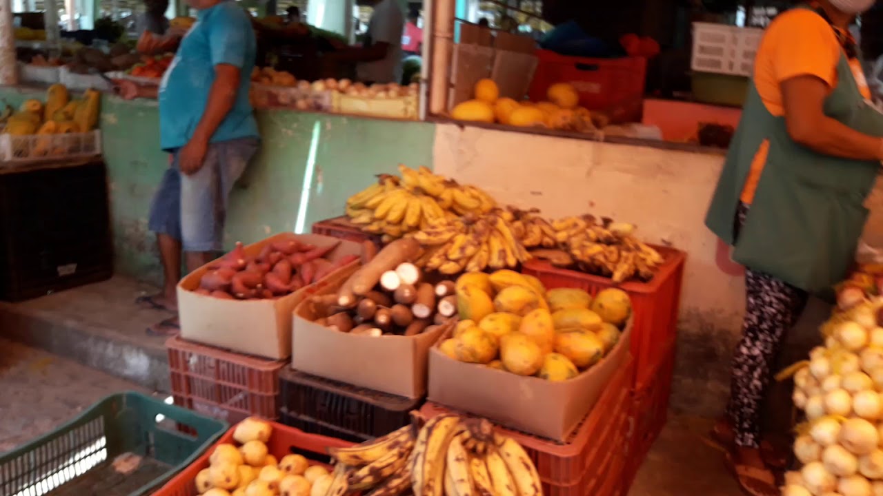 Feira do CECORA em Arcoverde (PE) instagram@plantaseviolaooficial