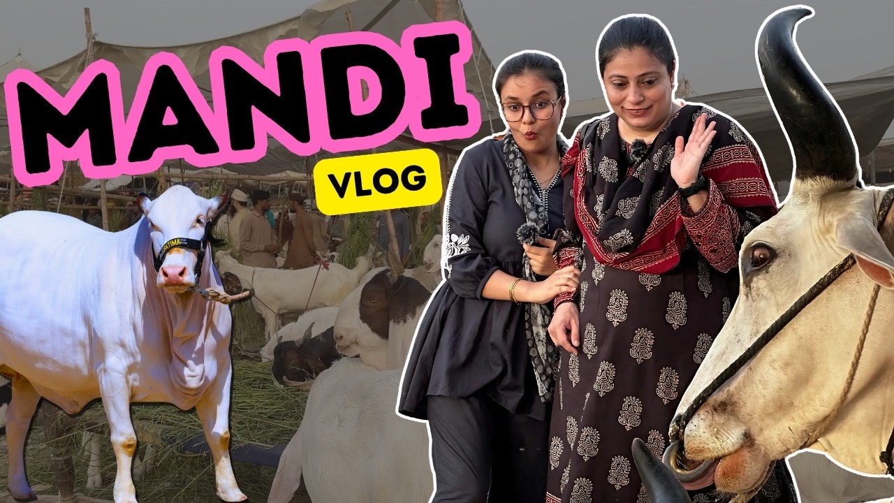 Mandi Vlog: Girls in Karachi's Cow Mandi | Eid ul Azha 2025