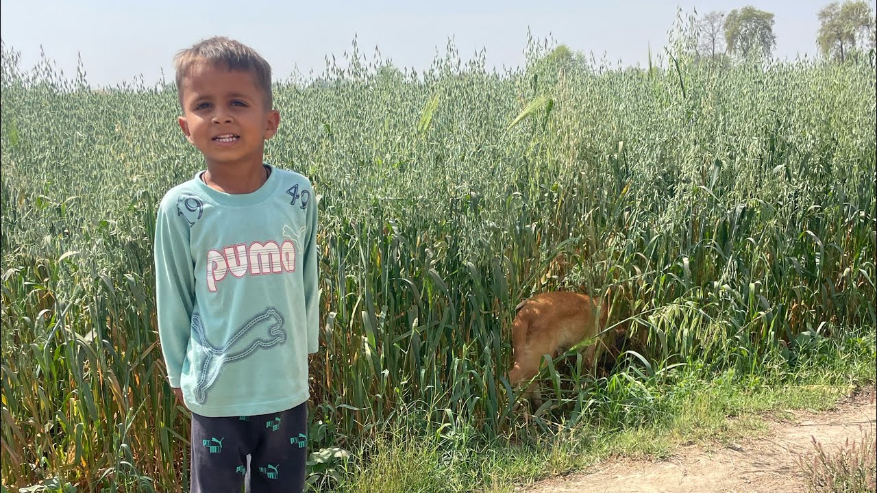 रहमत का डॉगी खो गया आज 🥲🥲🙏🙏