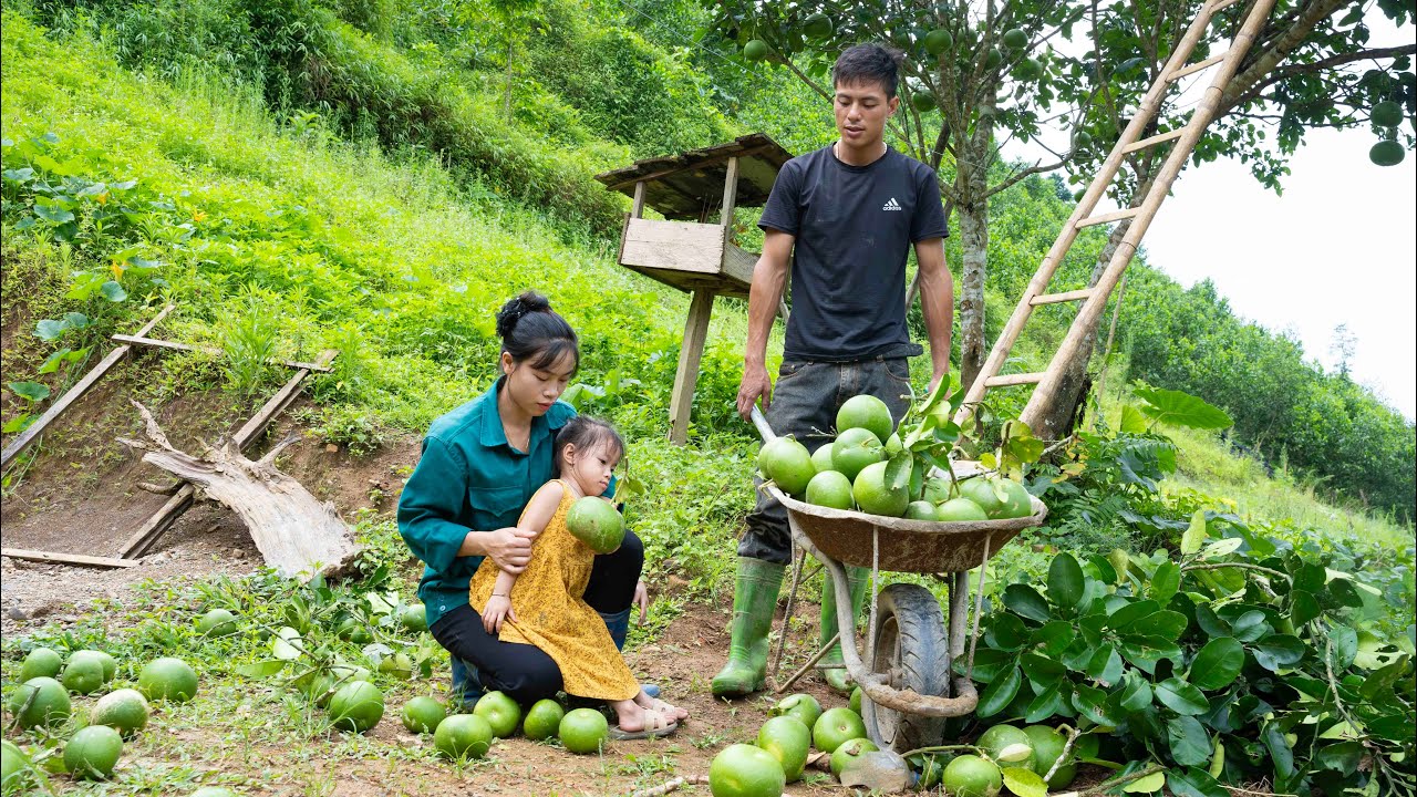 Gardening, Growing Sweet Potatoes, Animal Care, Family Farm