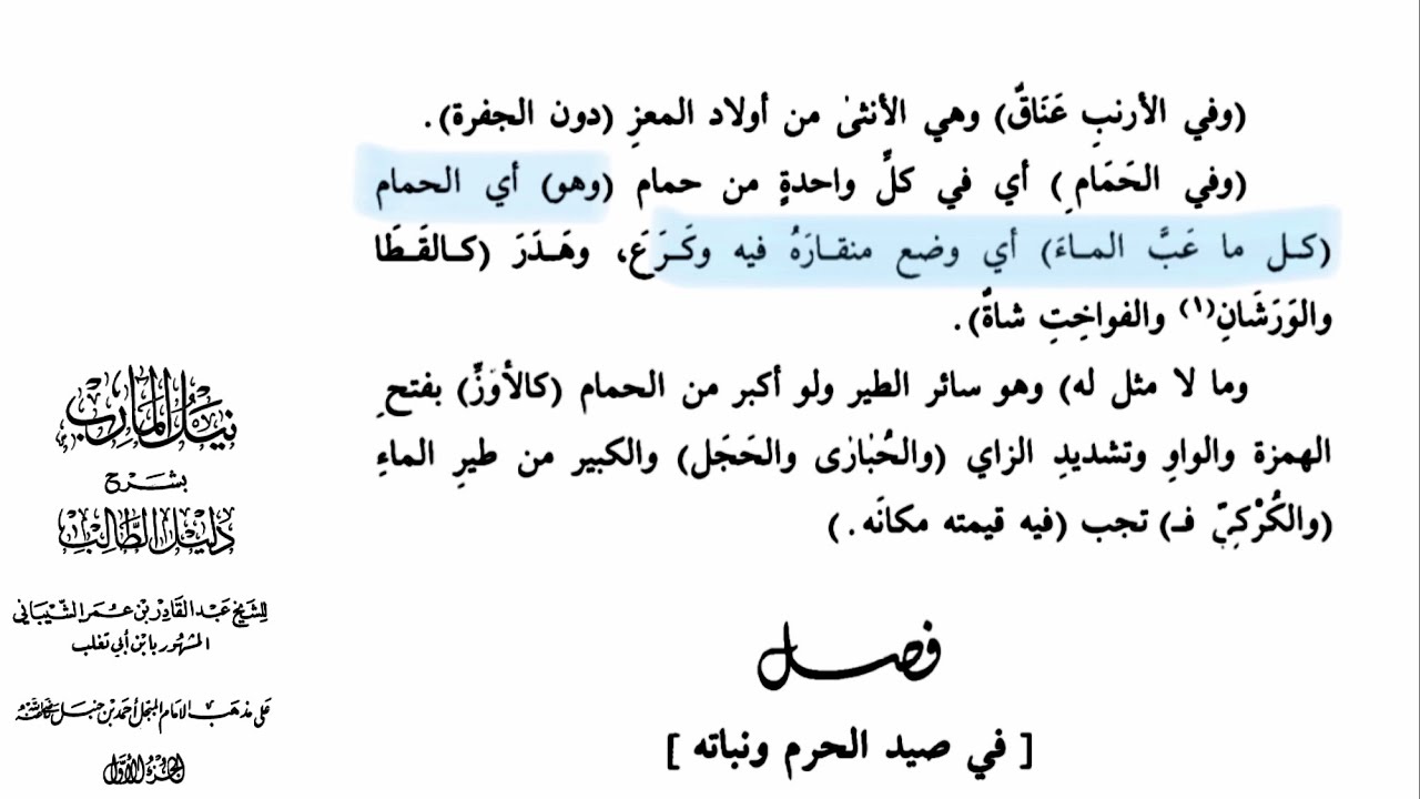 ( عب الماء ) الذي يذكره الفقهاء ويفرقون على أساسه بين كفارة صيد الحمام وغيره من الطيور في الحرم