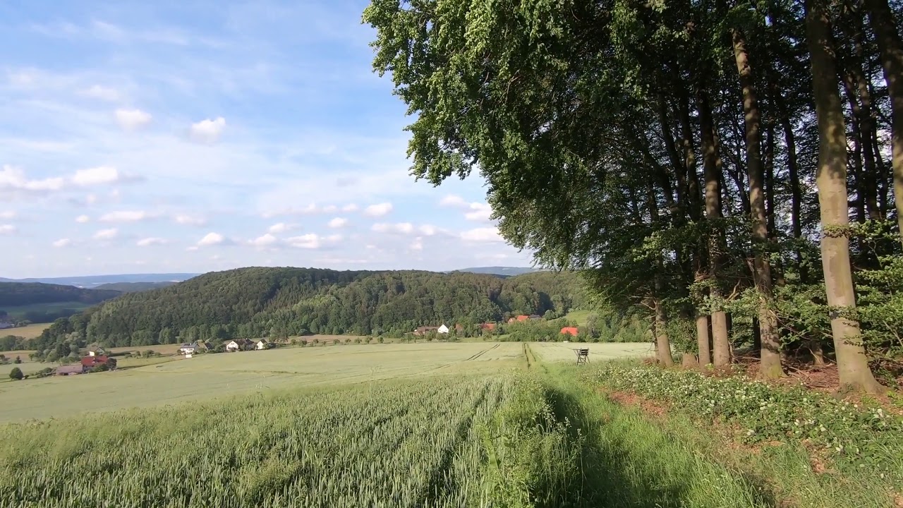 Der G&ouml;sselgang Kleiner Rundwanderweg im Extertal Lipperland