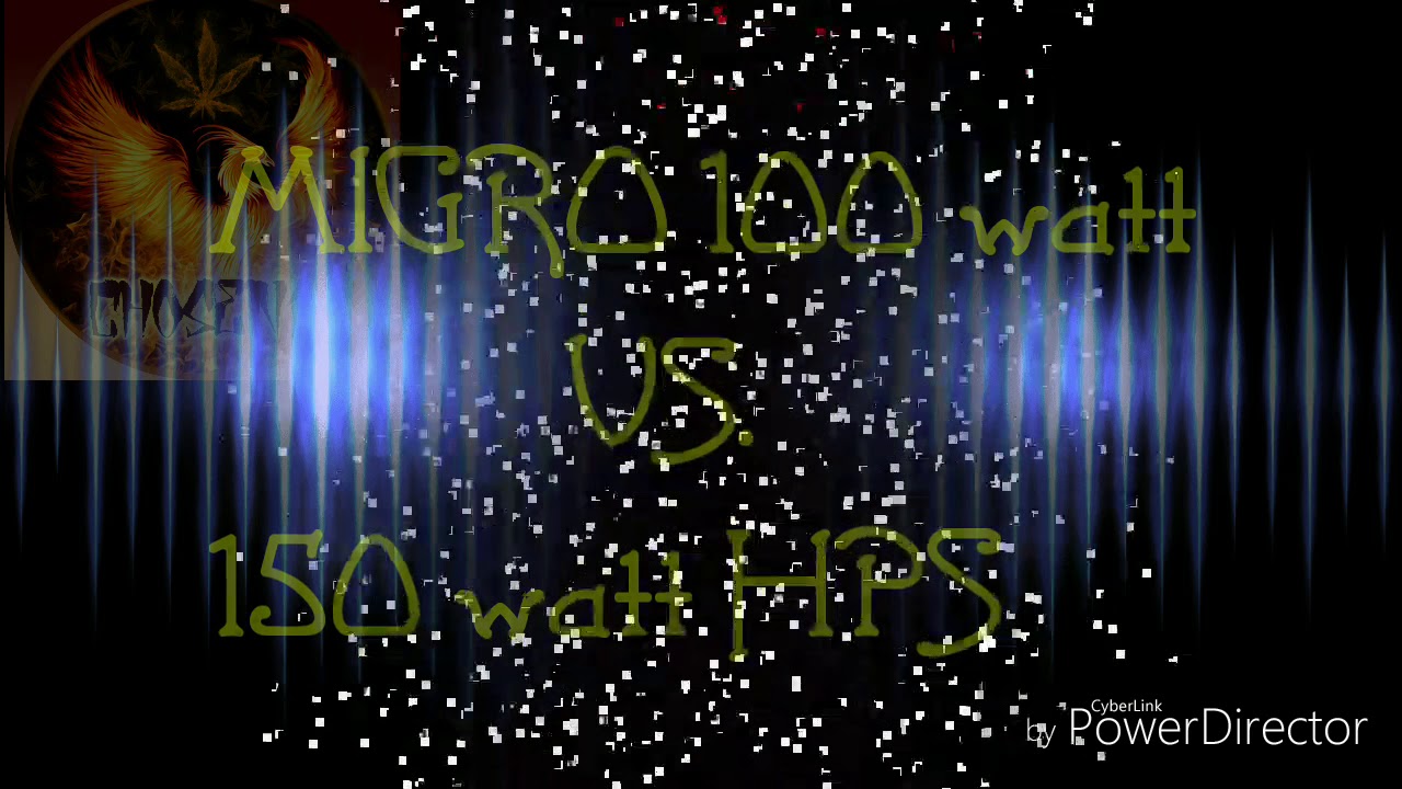 Migro 100 vs 150 watt HPS