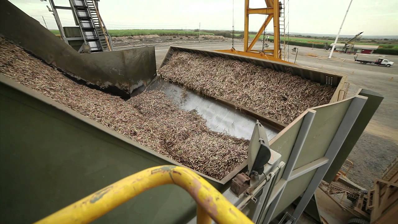 Caña Brava, empresa productora de etanol en Piura