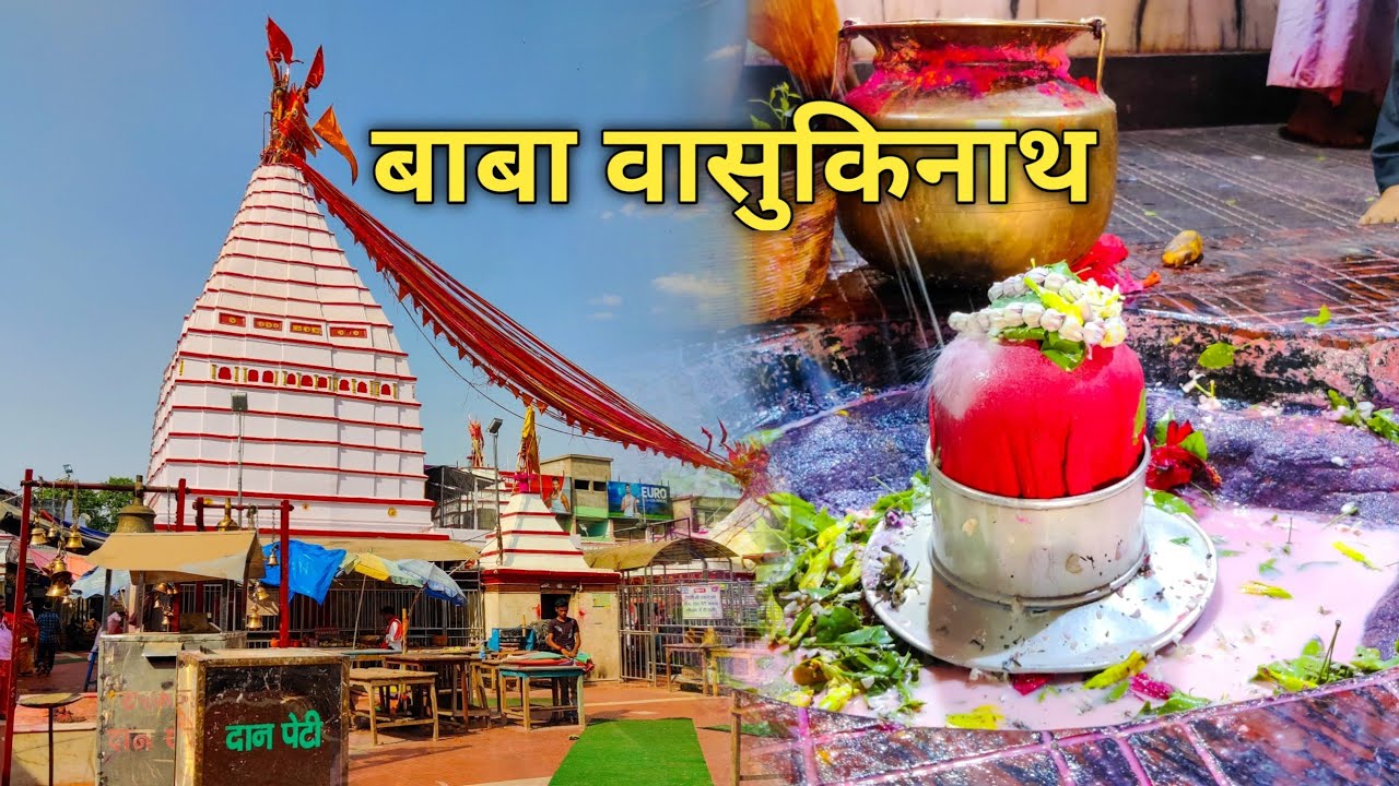 Baba Basukinath Dham | बाबा वासुकिनाथ मंदिर झारखण्ड | बासुकीनाथ मंदिर का इतिहास |BaBu Vlogs