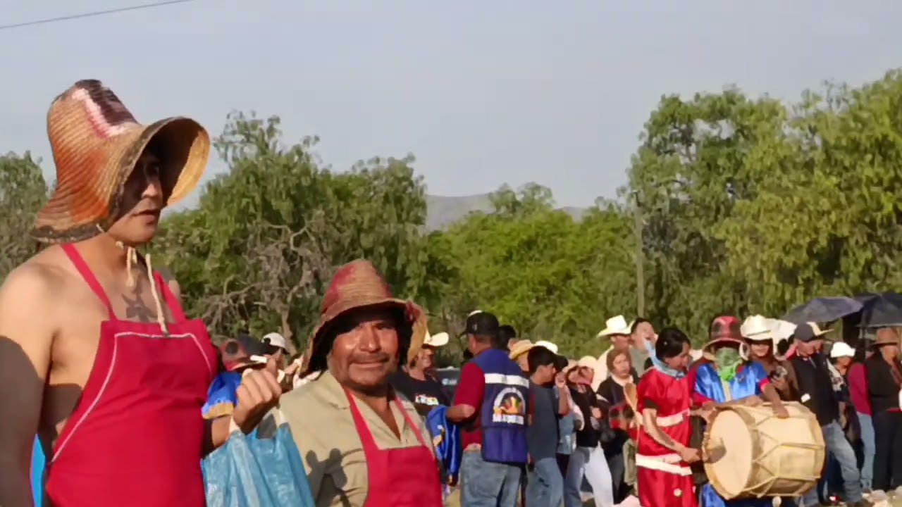 Los mandiles Resaltan En Los Naranjos 